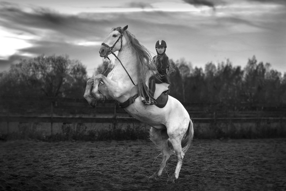 Photograph by Наталья Сидорова