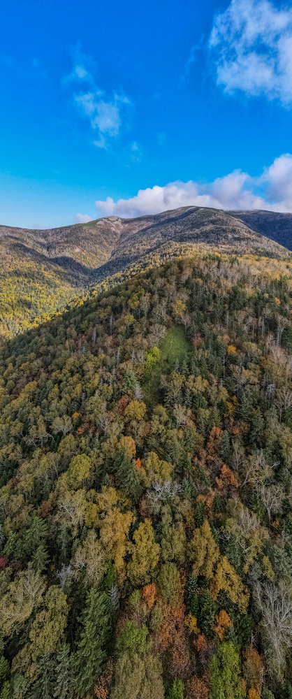 Flying above autumn forest