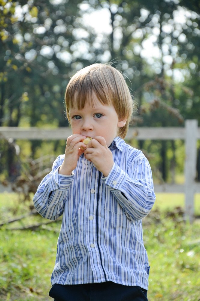 Фотография автора Алёна Сорокина