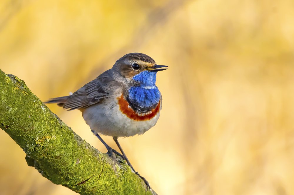 Photograph by Krzysztof Kozlowski