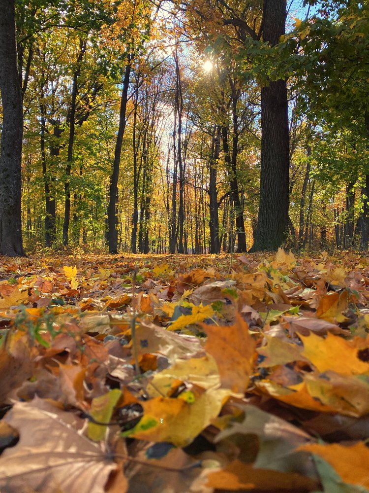 Photograph by Мари Полищук