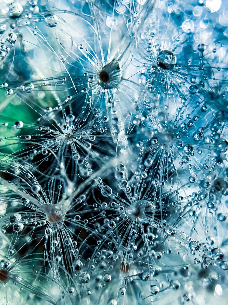 Photograph by Анастасия Астахова