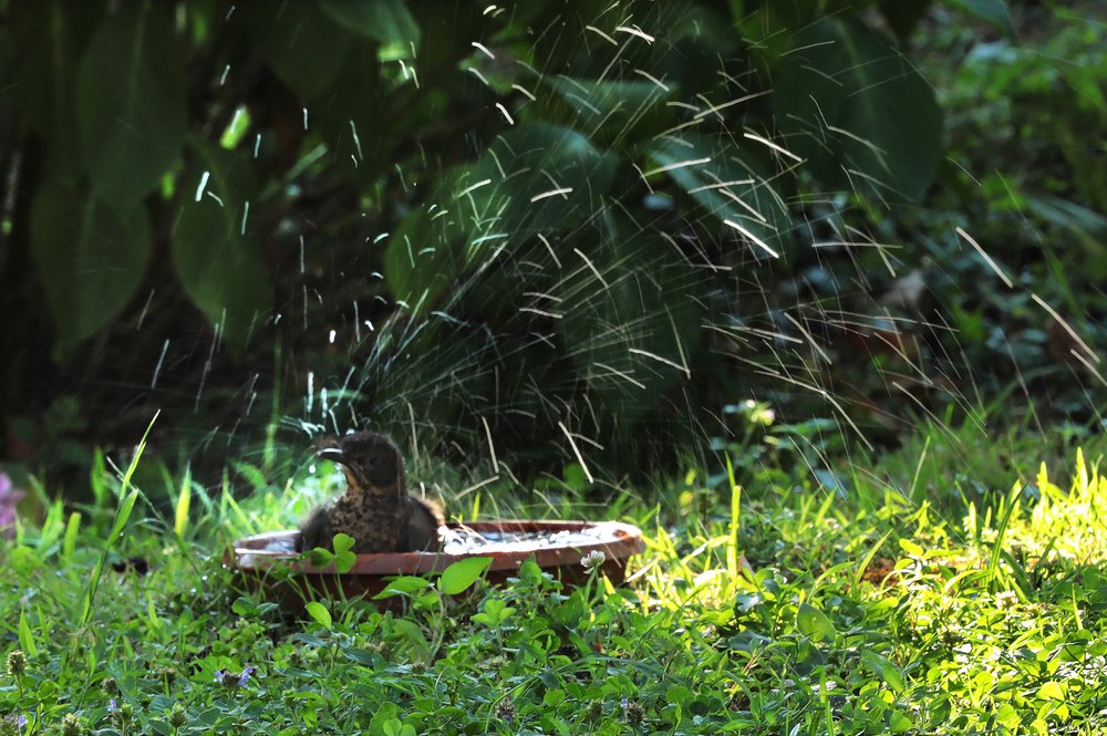 Photograph by Айдын Мехтиев