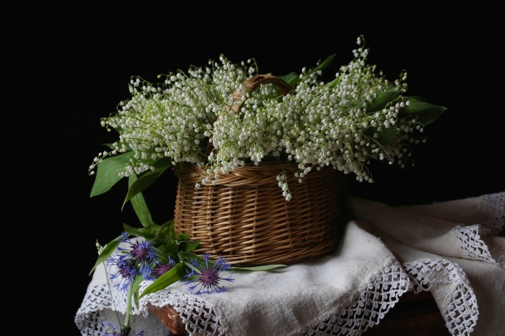 Светлого мая привет