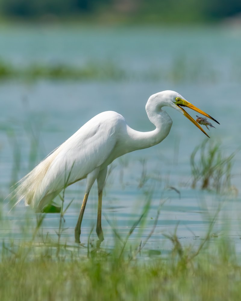 Photograph by Abhishek Kumar