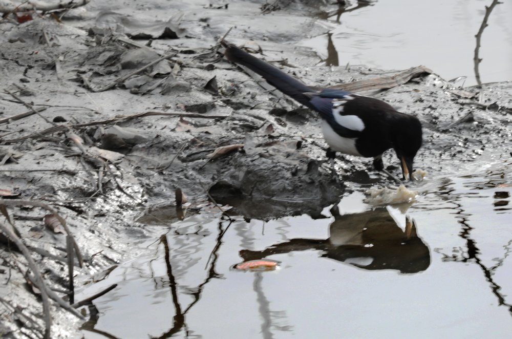 Photograph by Айдын Мехтиев