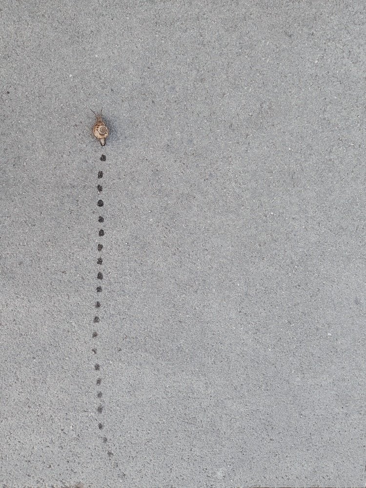 Photograph by Ксения Щербакова