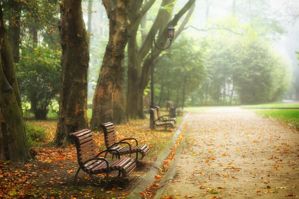 Photograph by Pavlo Lys