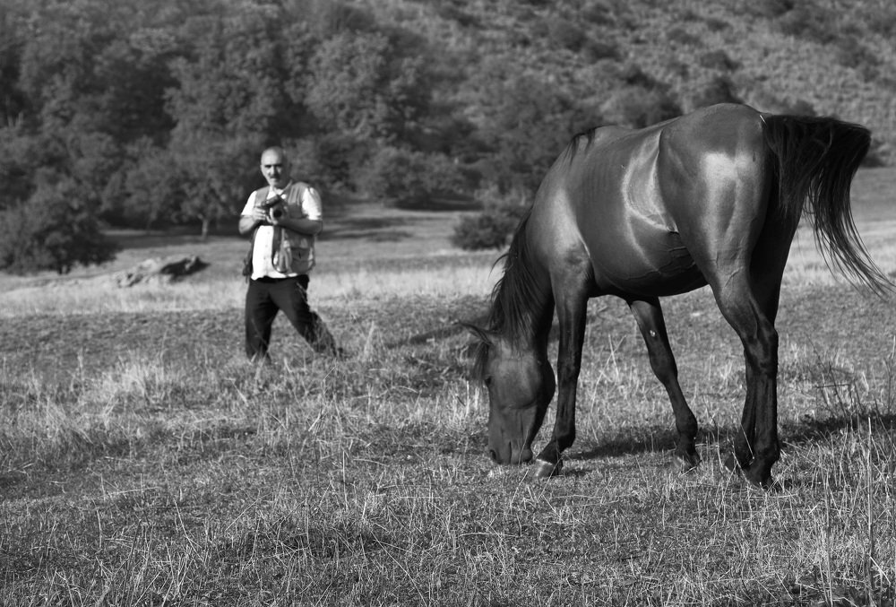 Photograph by Айдын Мехтиев