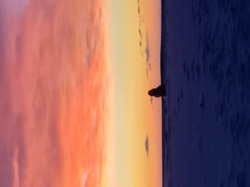 Photo #5096986