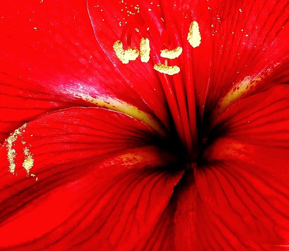 Photograph by Айдын Мехтиев