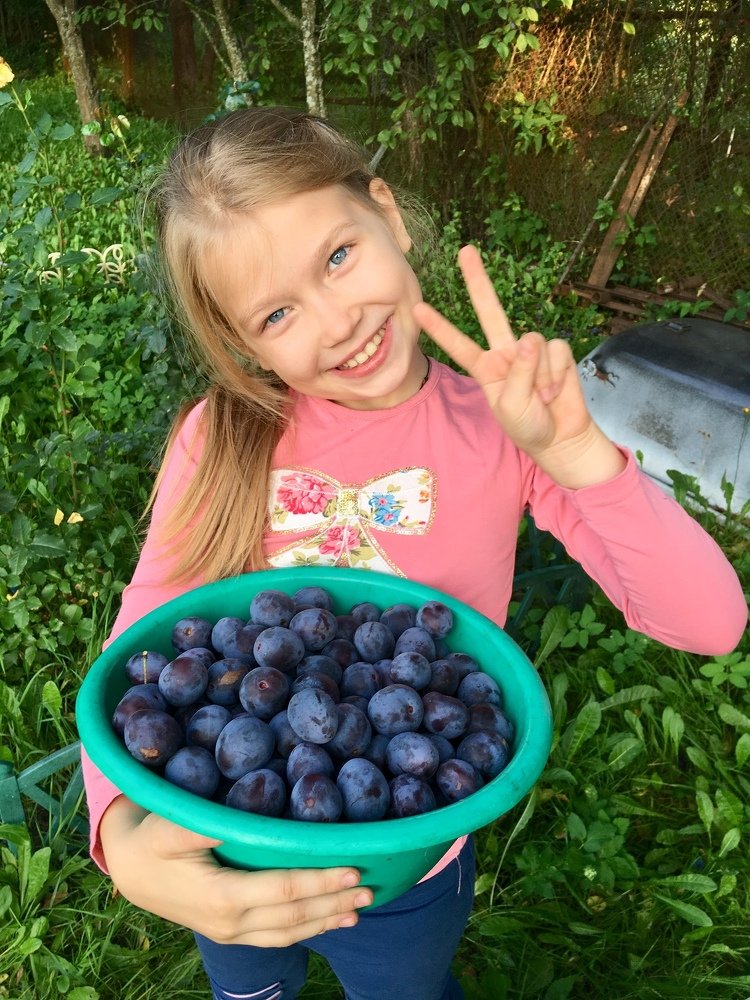 Photograph by Dasha Zueva