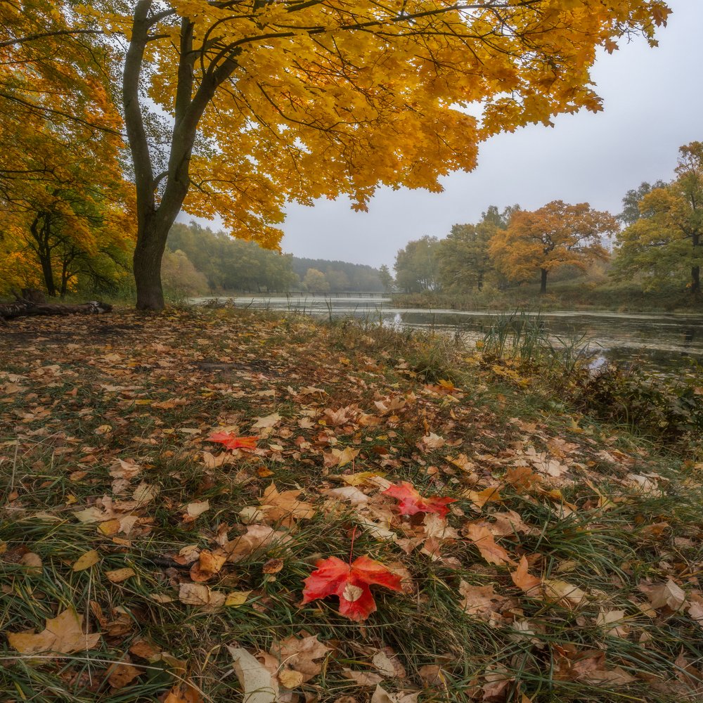 Фотография автора Мартыненко Дмитрий