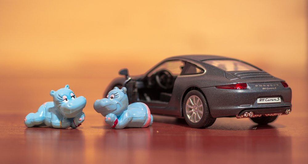 Туса бегемотов