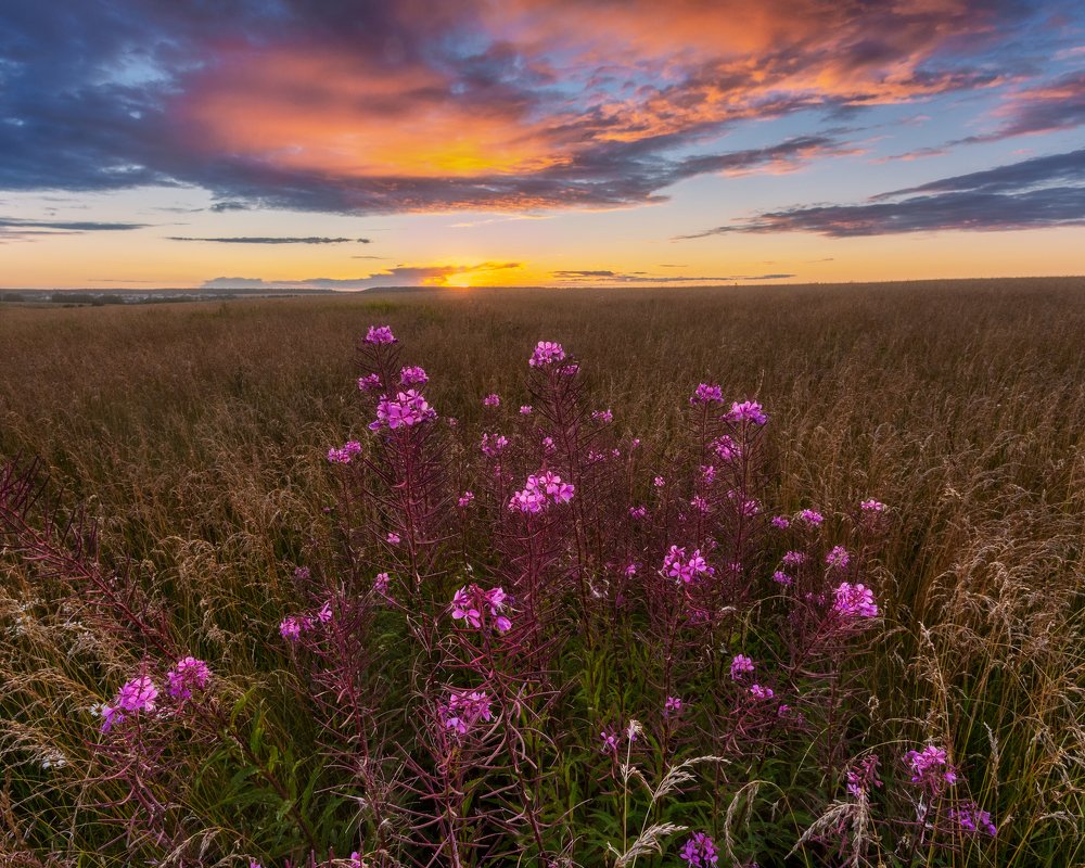 Фотография автора Мартыненко Дмитрий
