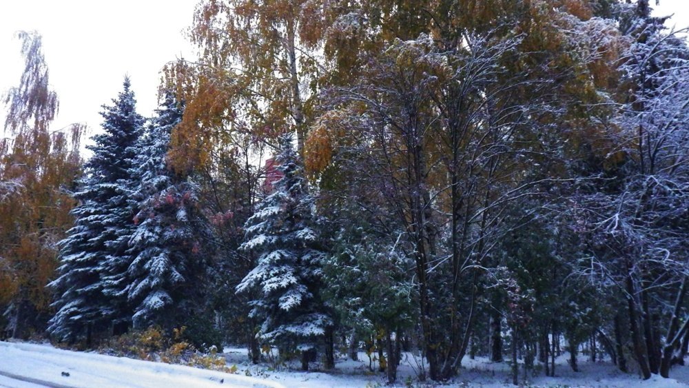 Photograph by Олег