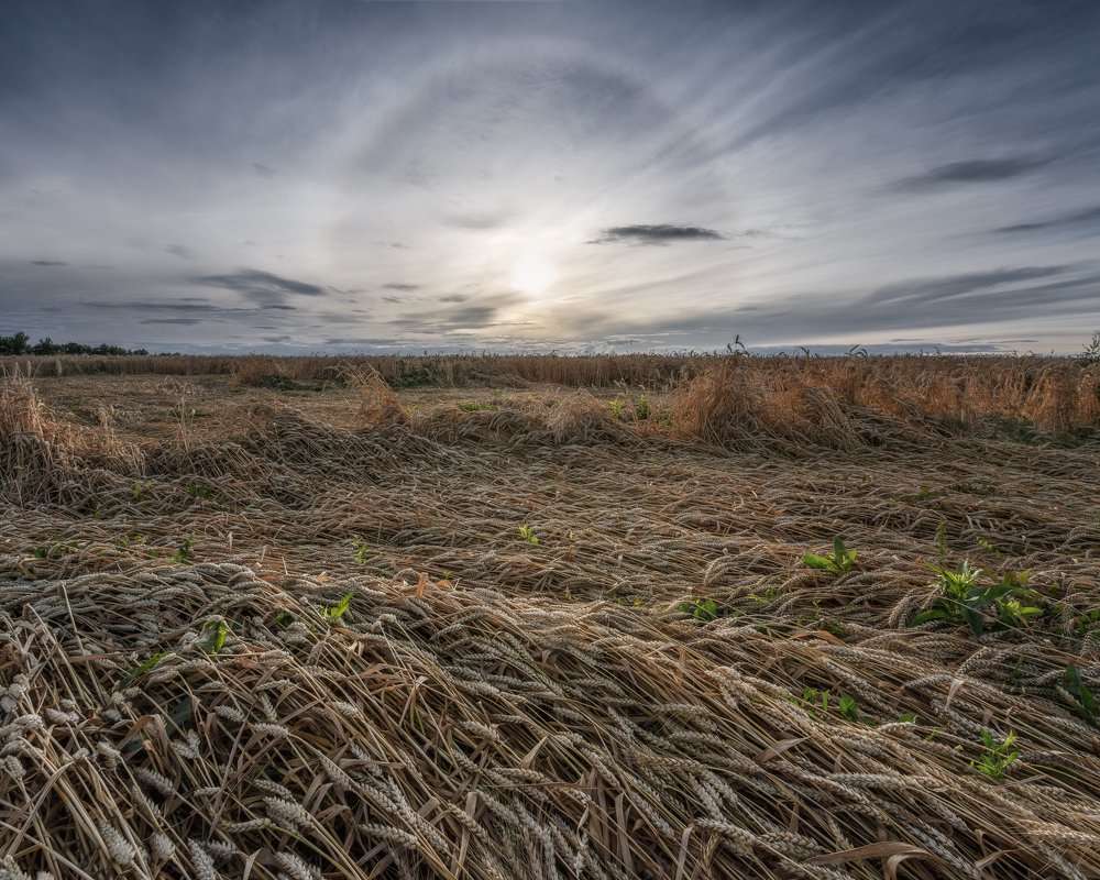 Фотография автора Мартыненко Дмитрий