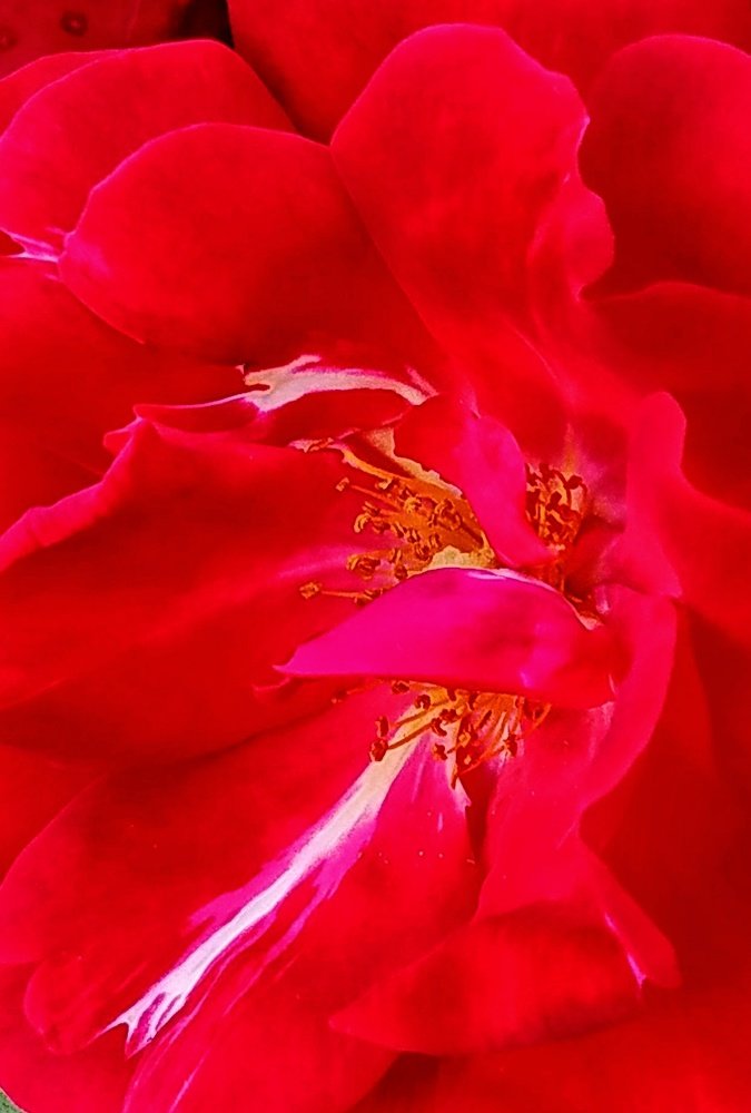 Photograph by Айдын Мехтиев