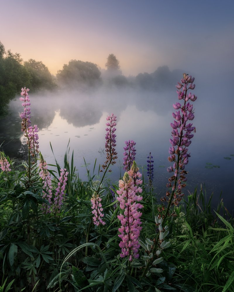 Фотография автора Мартыненко Дмитрий