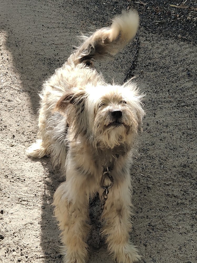 Photo #5097061