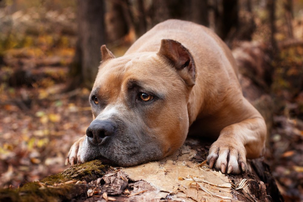 Photograph by Любовь Конева