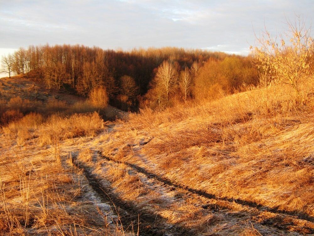 Photo #5097069
