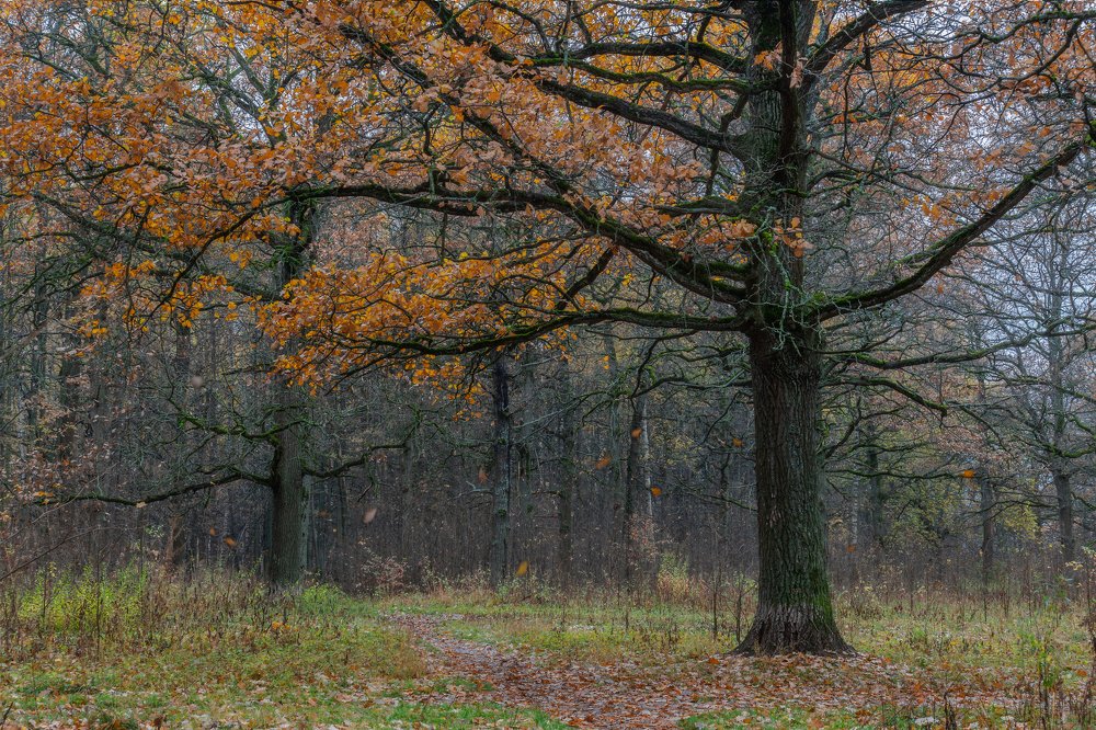 Фотография автора Мартыненко Дмитрий