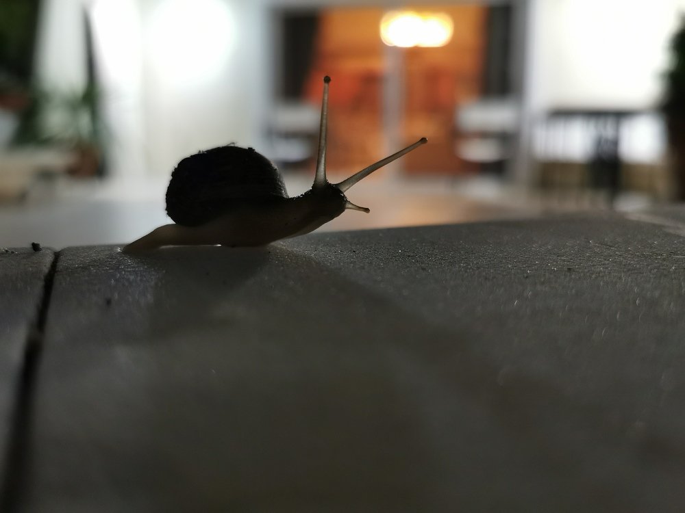 Фотография автора Sotiris Makrygiannis