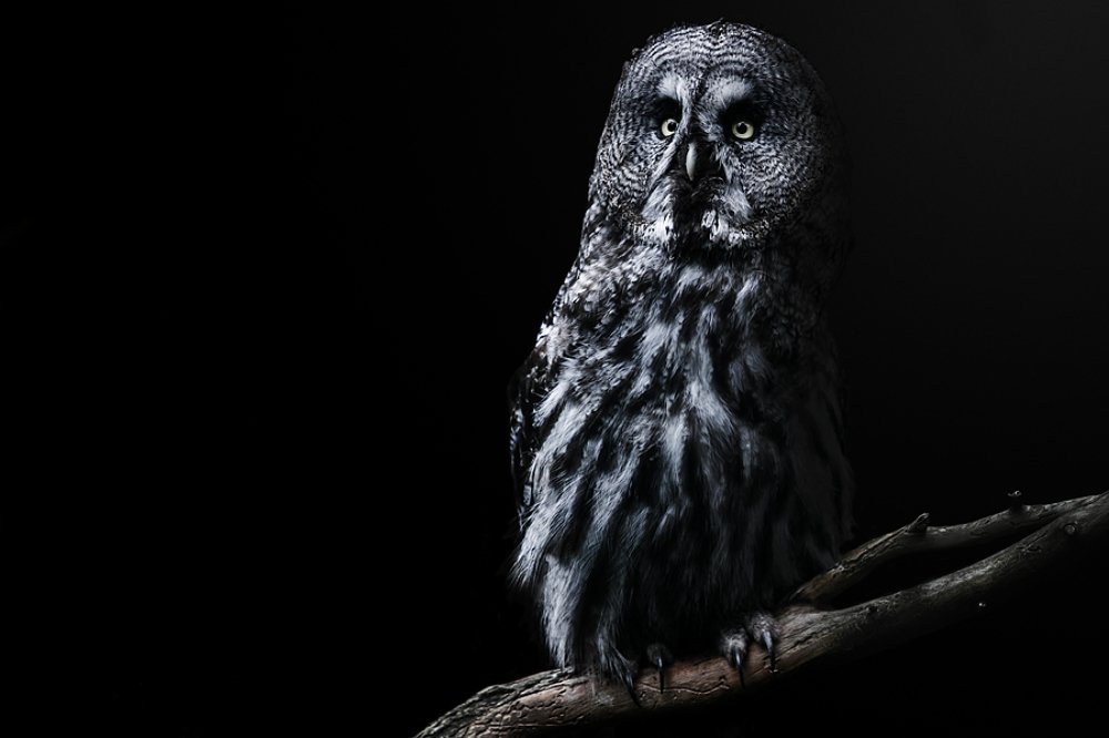 Photograph by Chev Photography