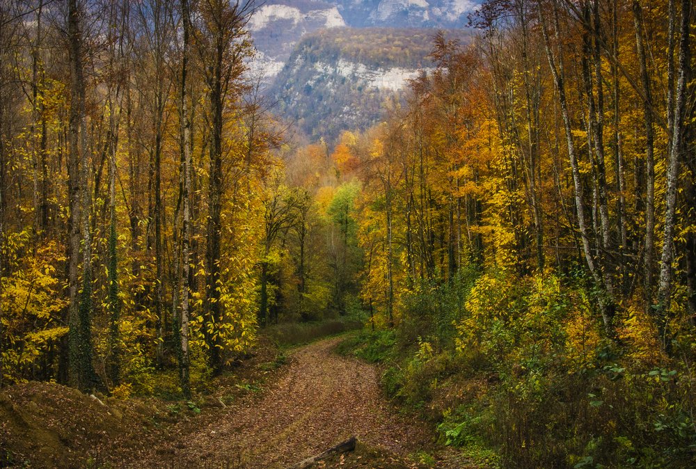 Заброшенная дорога