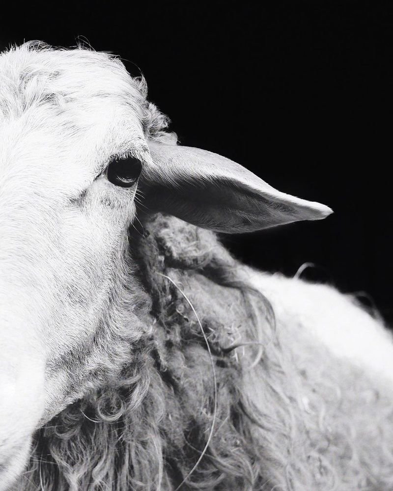 Photograph by Андрей Киреев