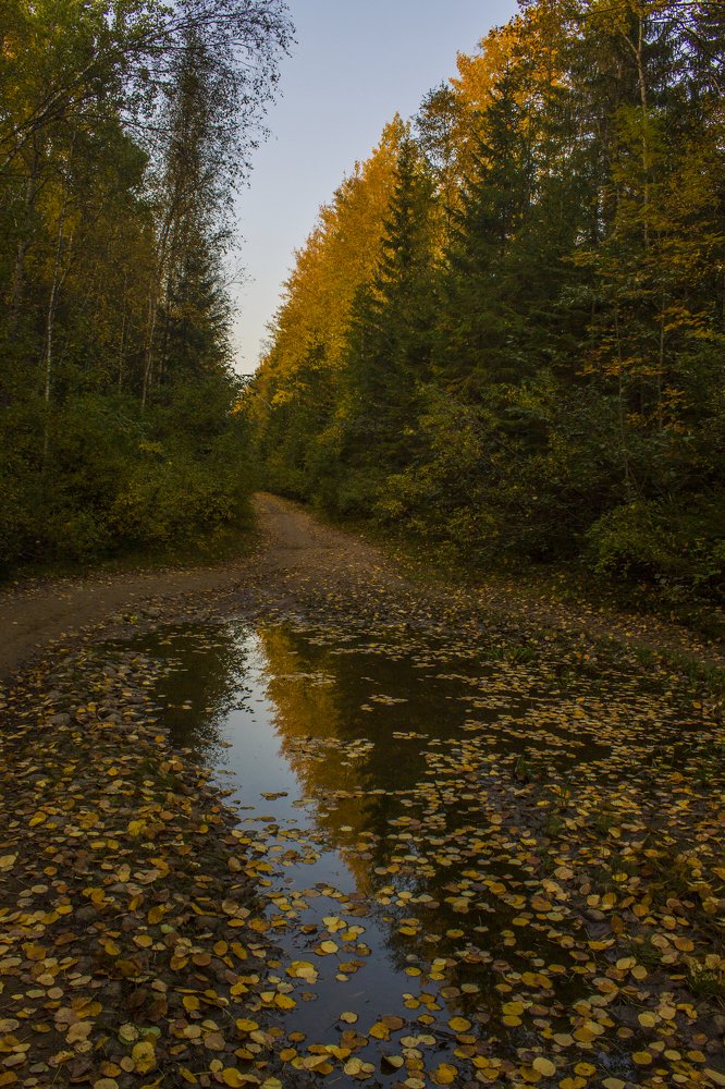 Photograph by Вячеслав Булатов