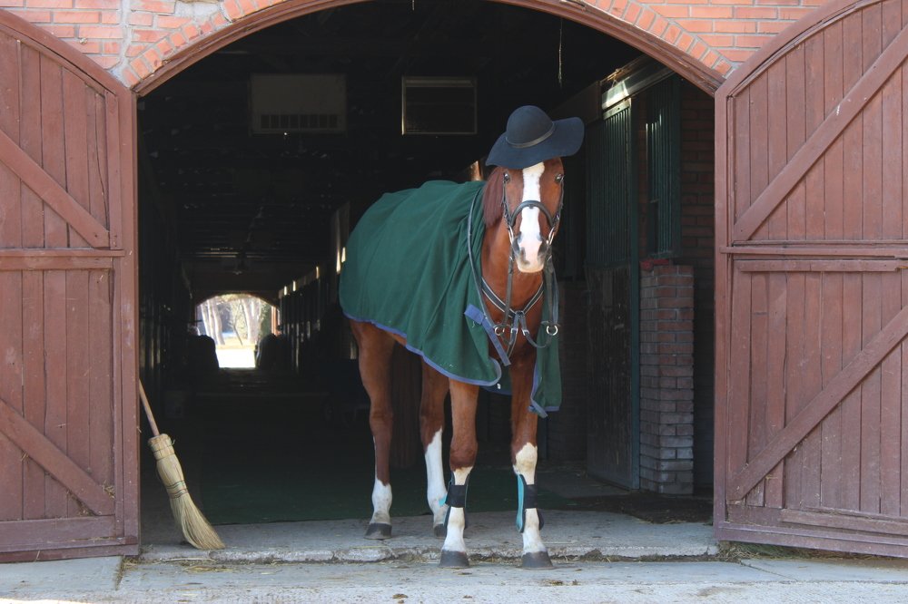 Photograph by AKIN KALAYCI