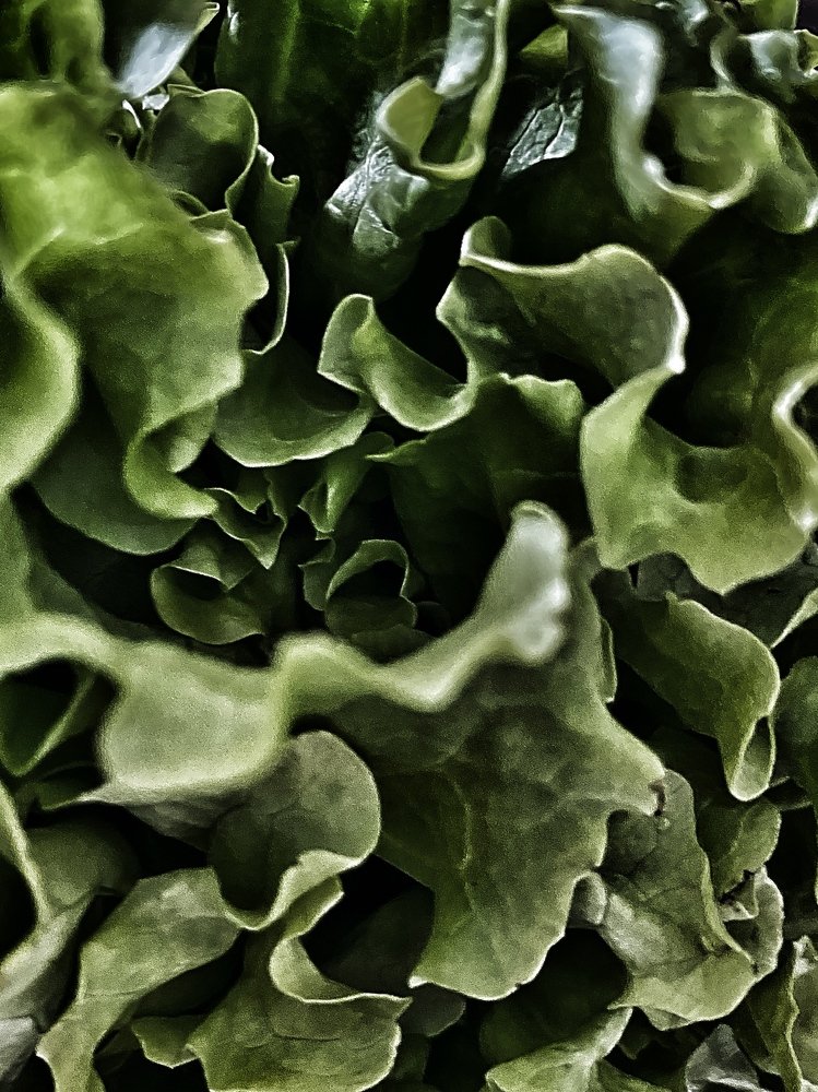 Photograph by Лилия Куюн