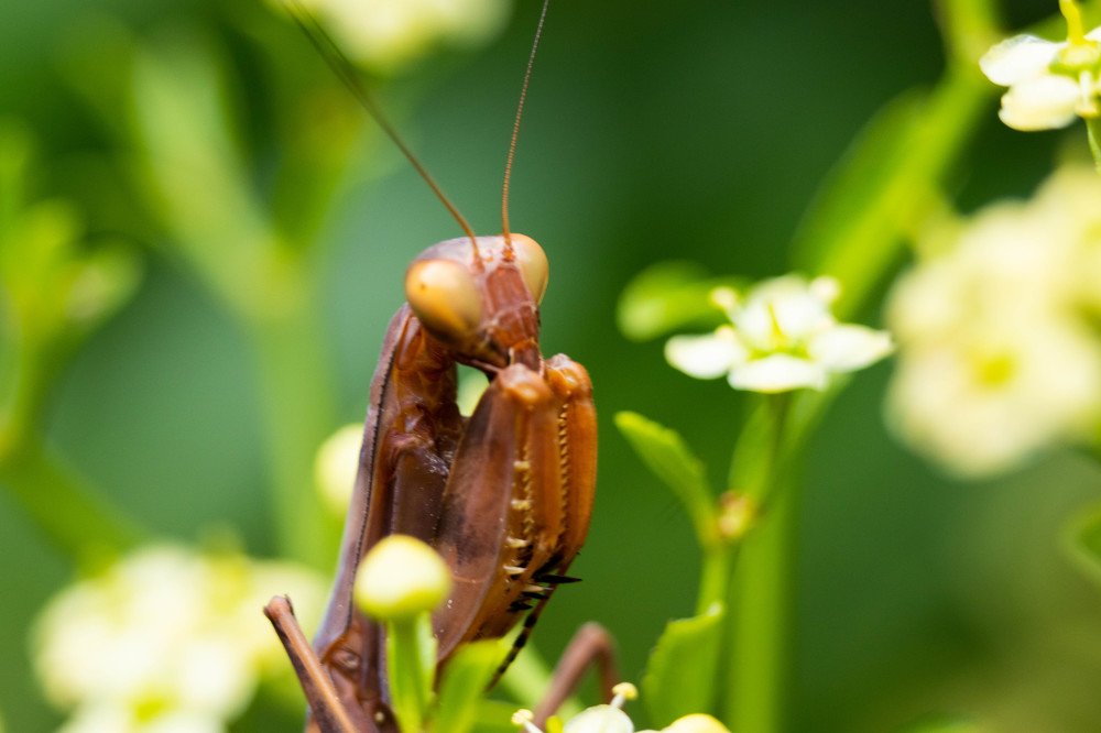 Photograph by Олег Башкуров