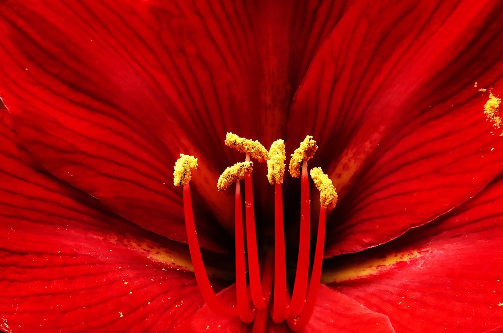 Photograph by Айдын Мехтиев