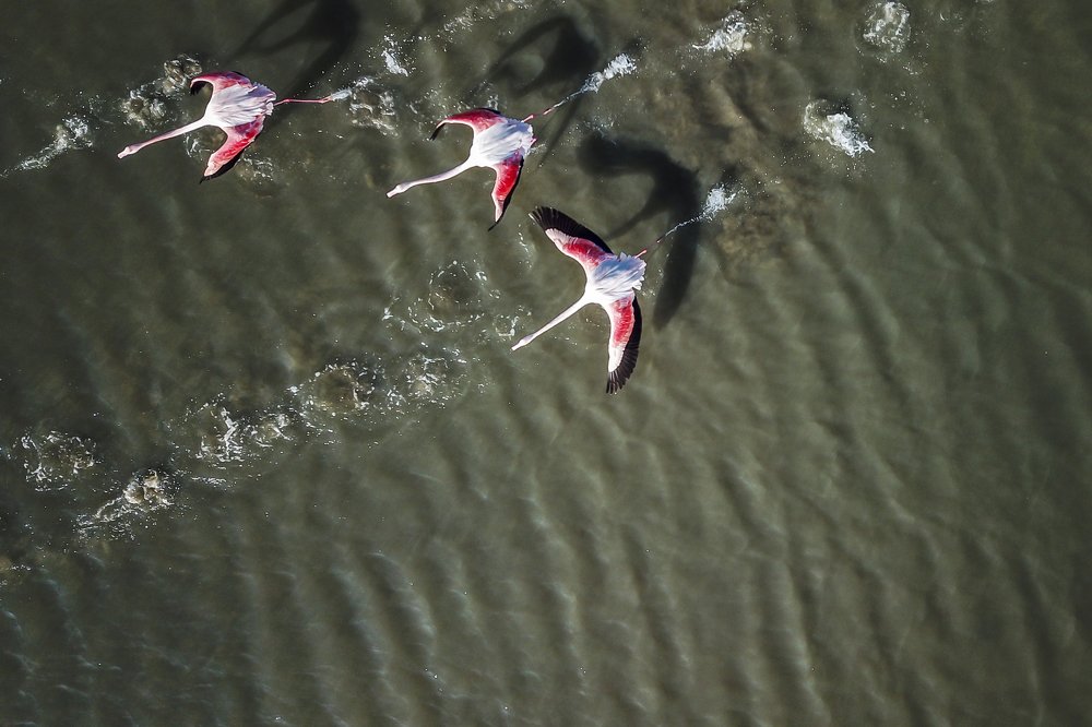 Photograph by Ali Rıza İzgi