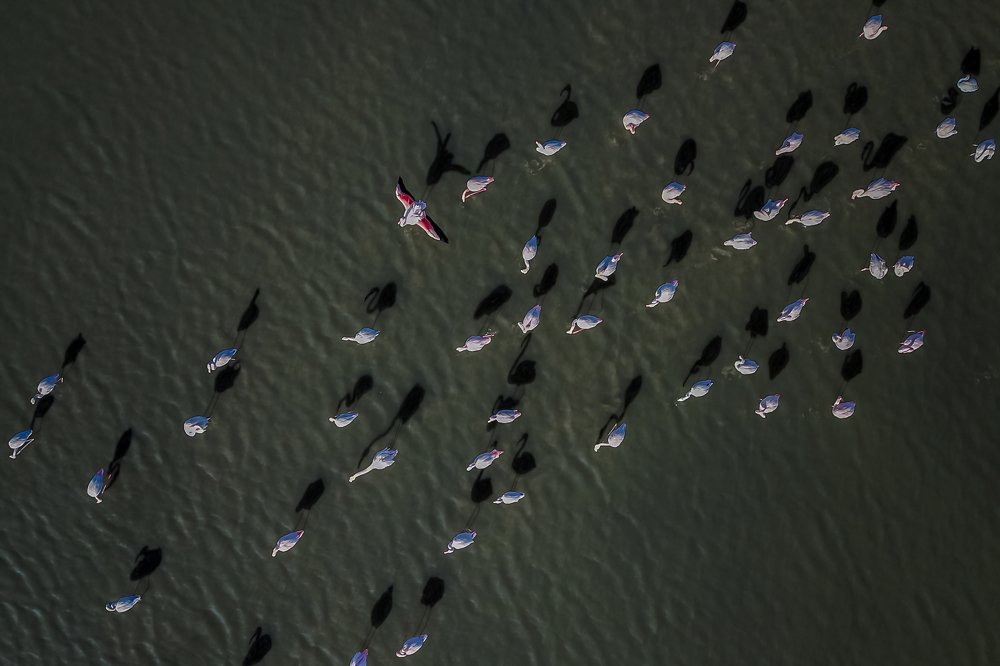 Photograph by Ali Rıza İzgi