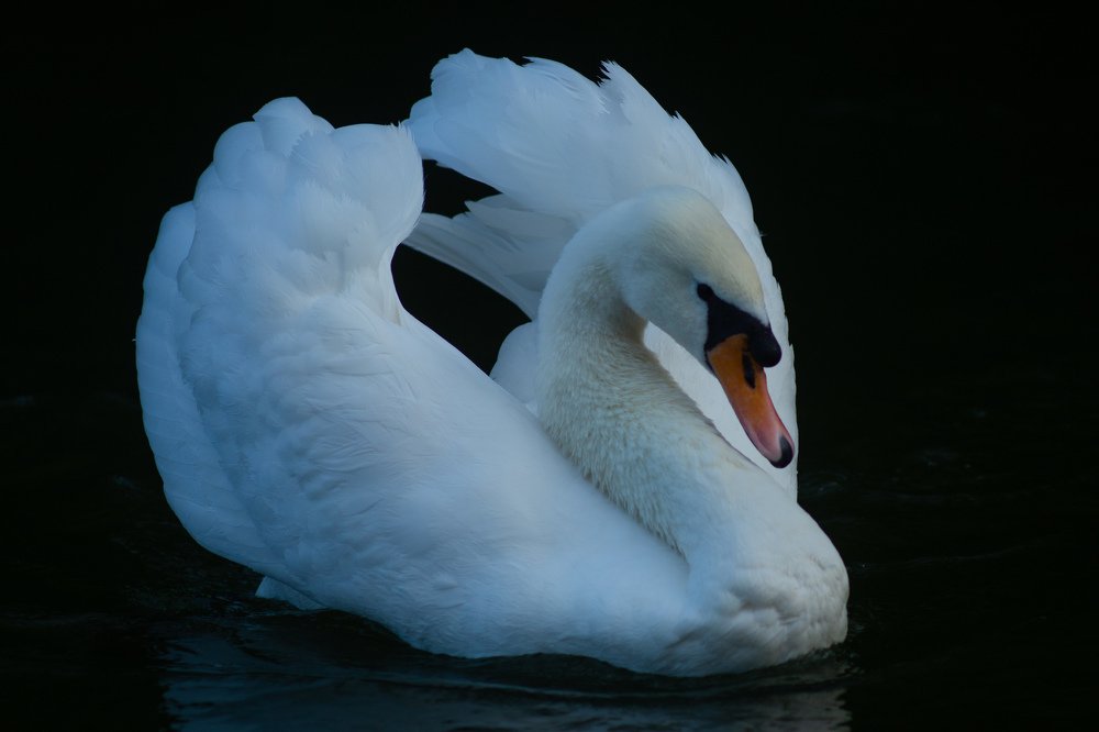 Photograph by Sergey Uskov