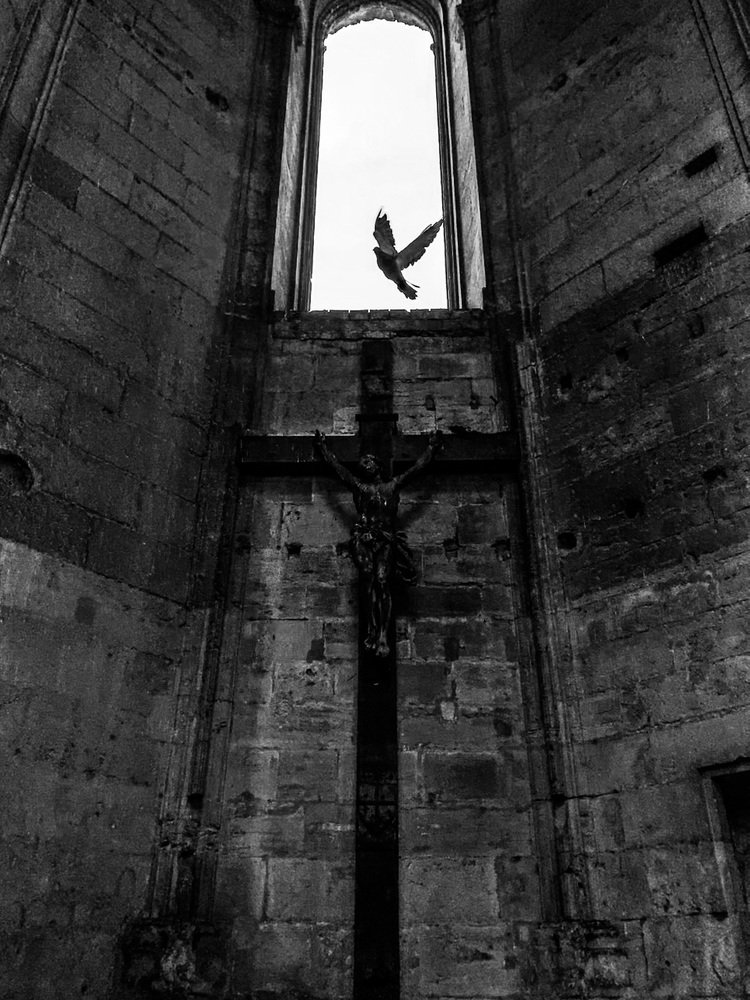 Photograph by Evgeniya Stafeeva