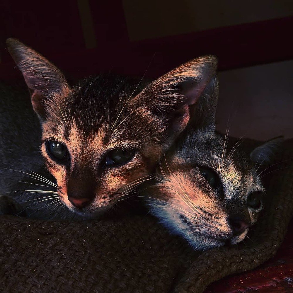 Photograph by SAMARJEET BEHERA