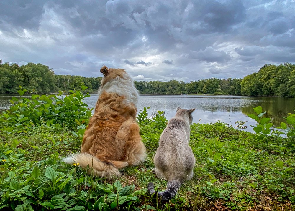 Photograph by LYUDMYLA POKRYSHEN