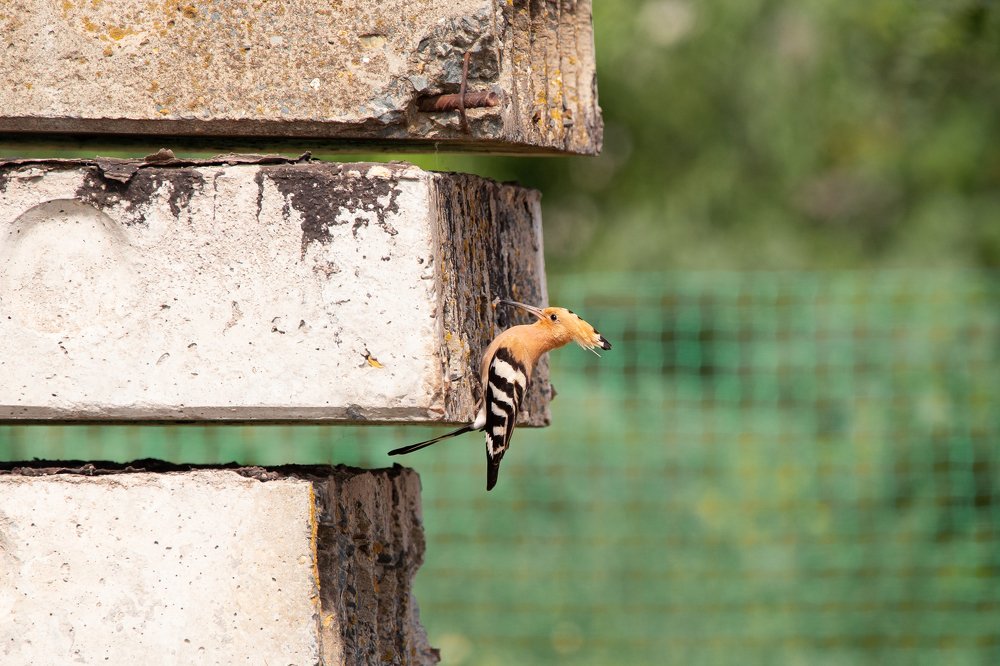 Photograph by Даря Ивушкина