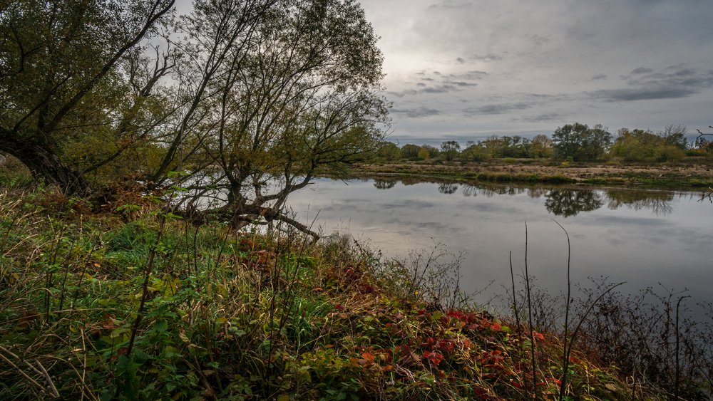 Осень на Мульде