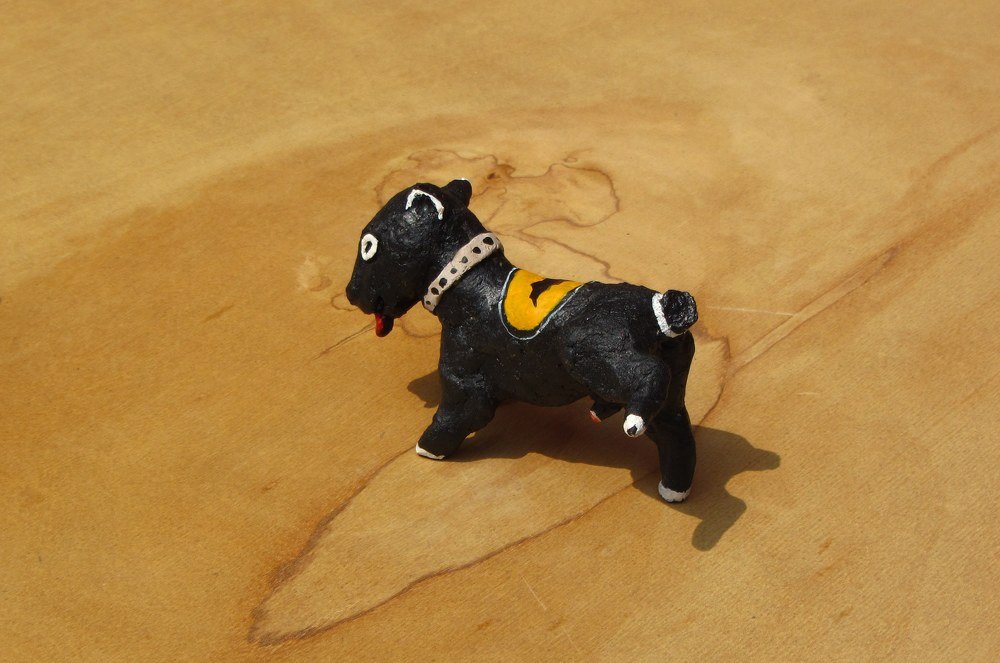 Photograph by SAMARJEET BEHERA