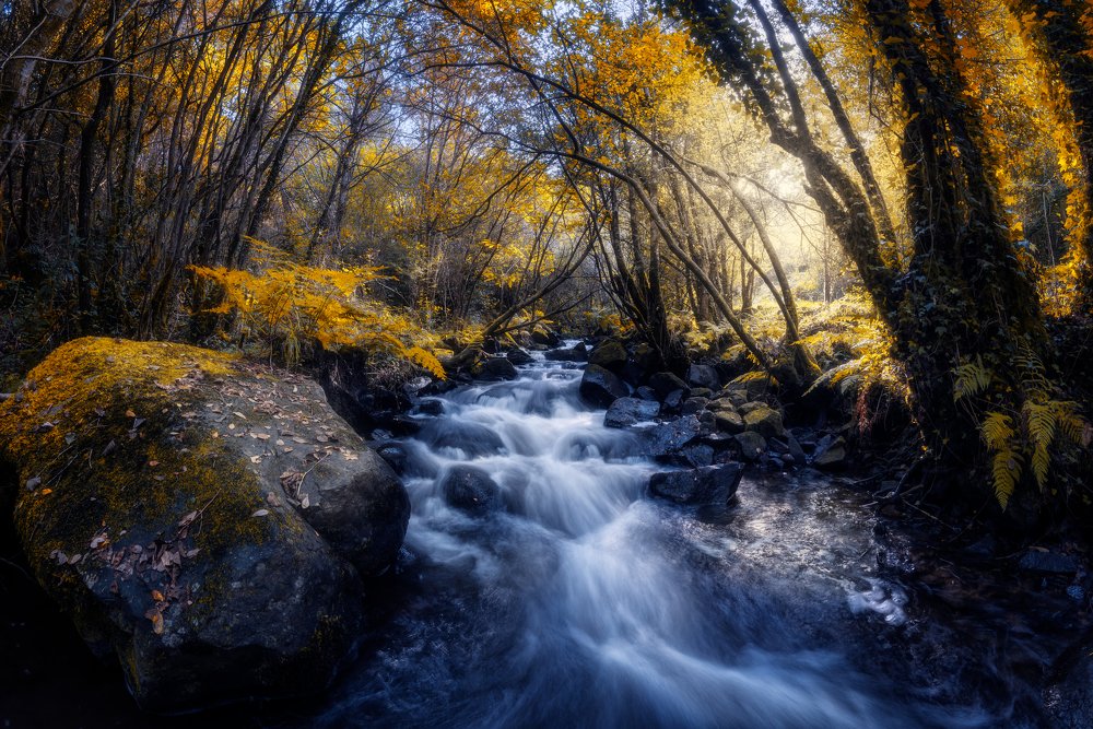 Photograph by Damian Varela