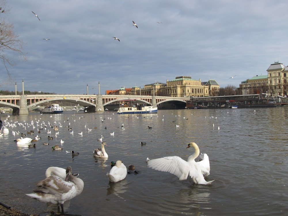 Photograph by Yurii Havrylenko