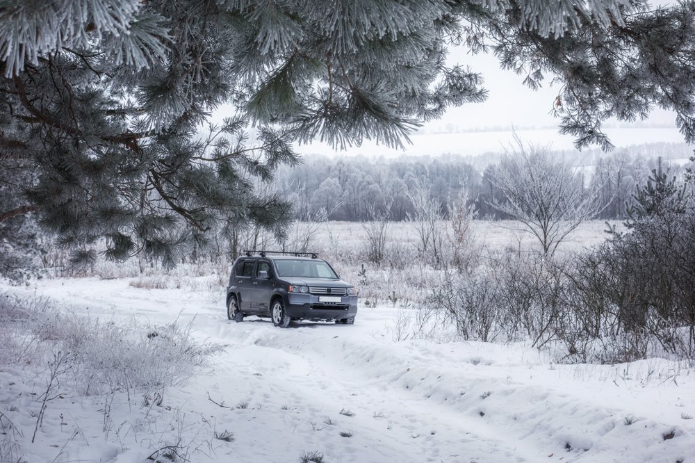 Photograph by Игорь Сарапулов