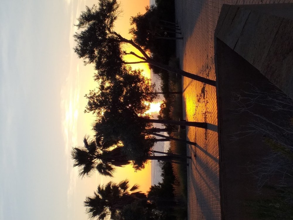 Photo #5097728