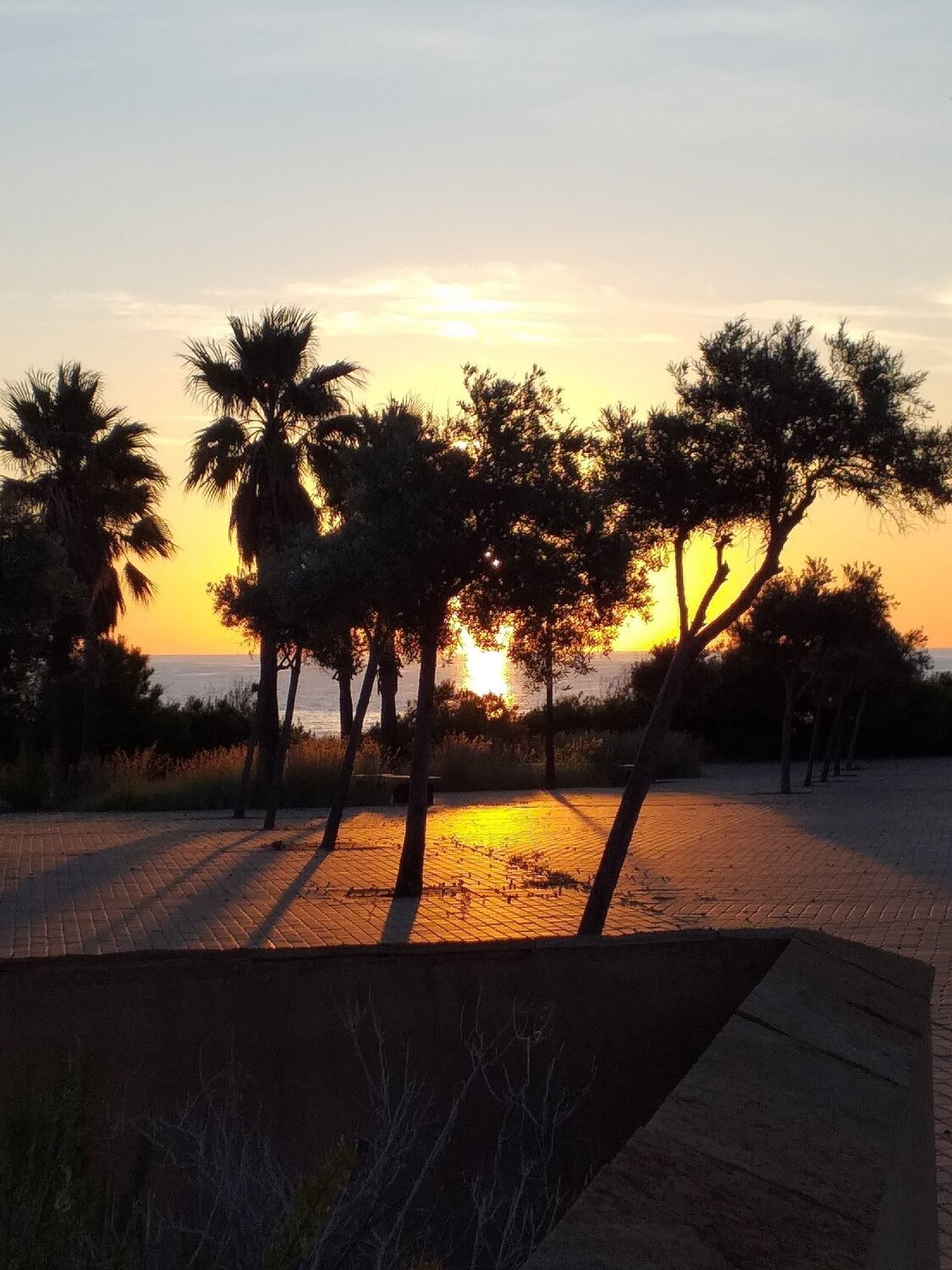 Photo #5097728